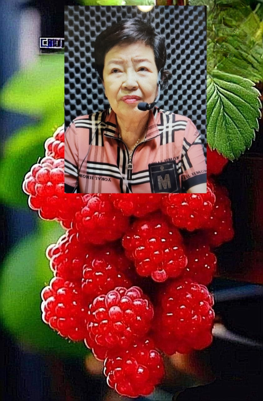 엄선생 이미지