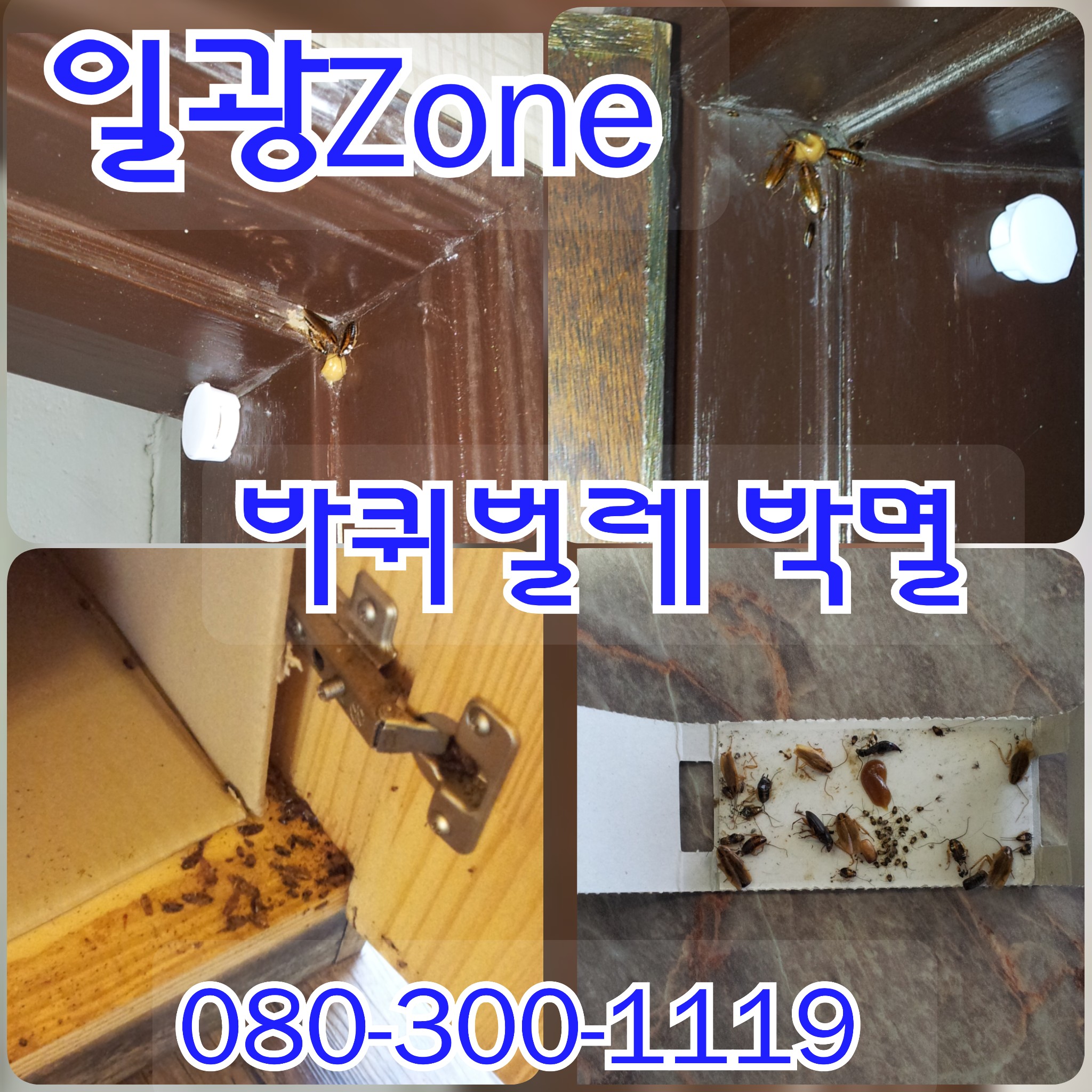 일광ZONE 이미지