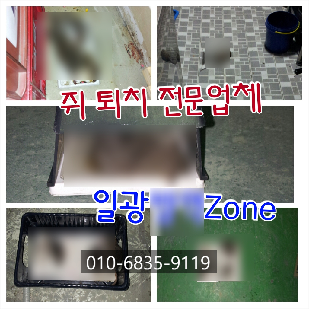 일광ZONE 이미지