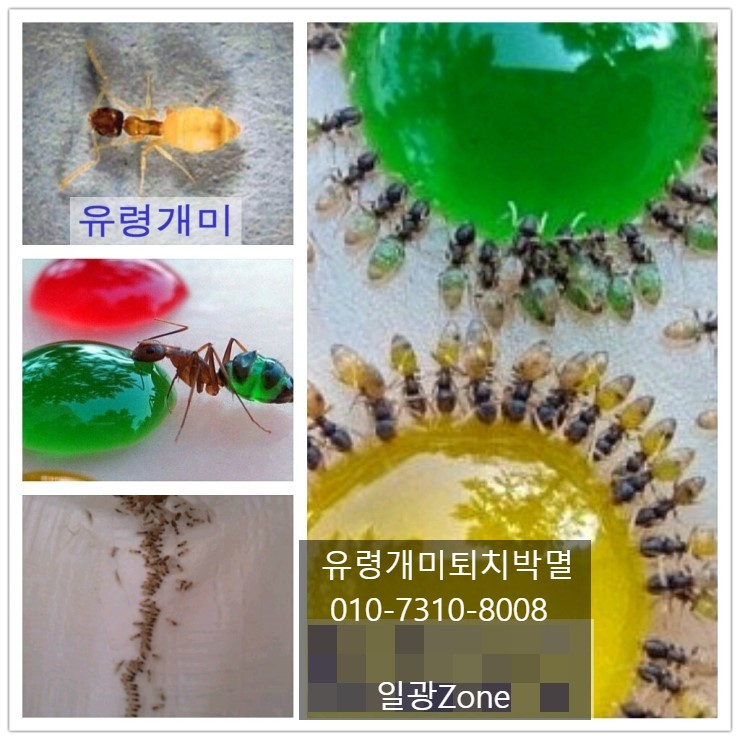 일광ZONE 이미지