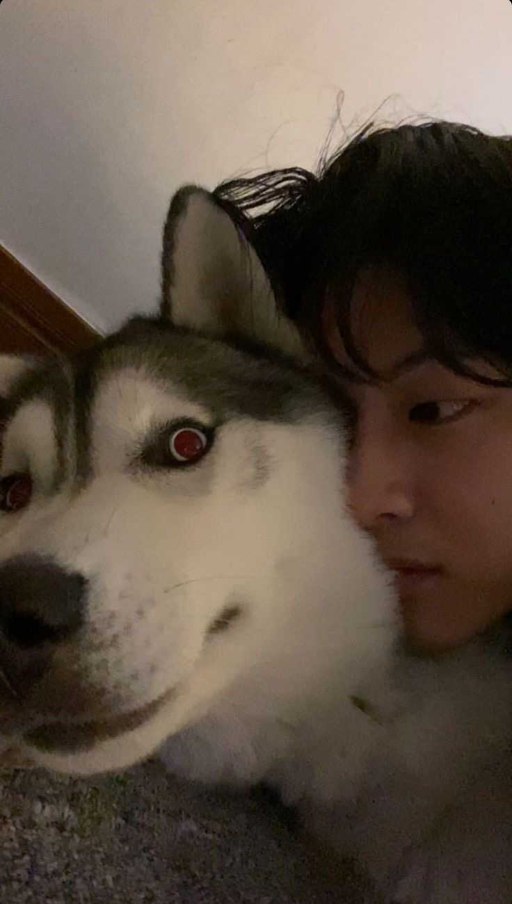 털뭉치 이미지