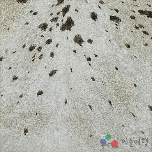 갤러리손 이미지