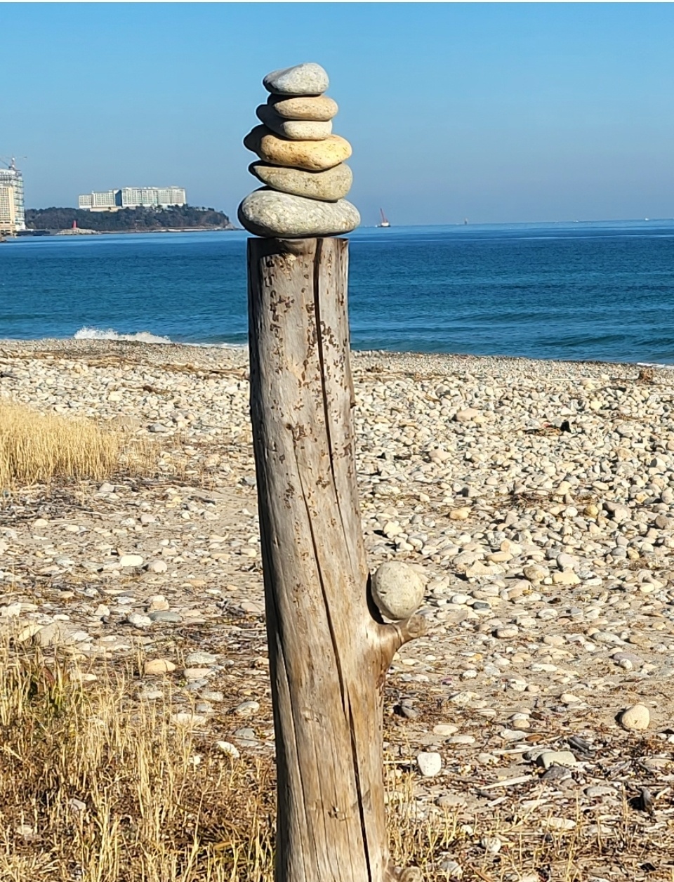 참살이 이미지