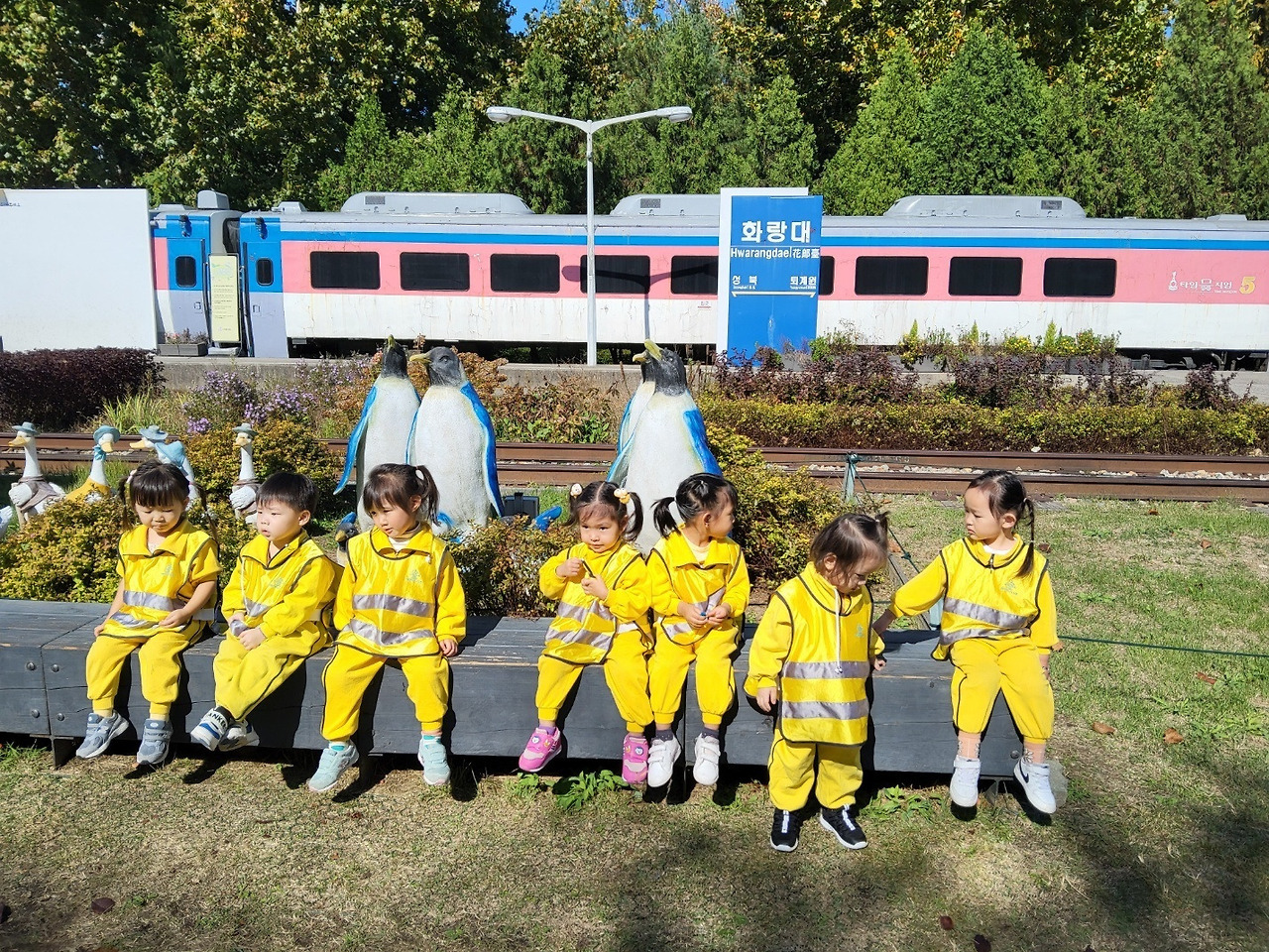 세인 이미지