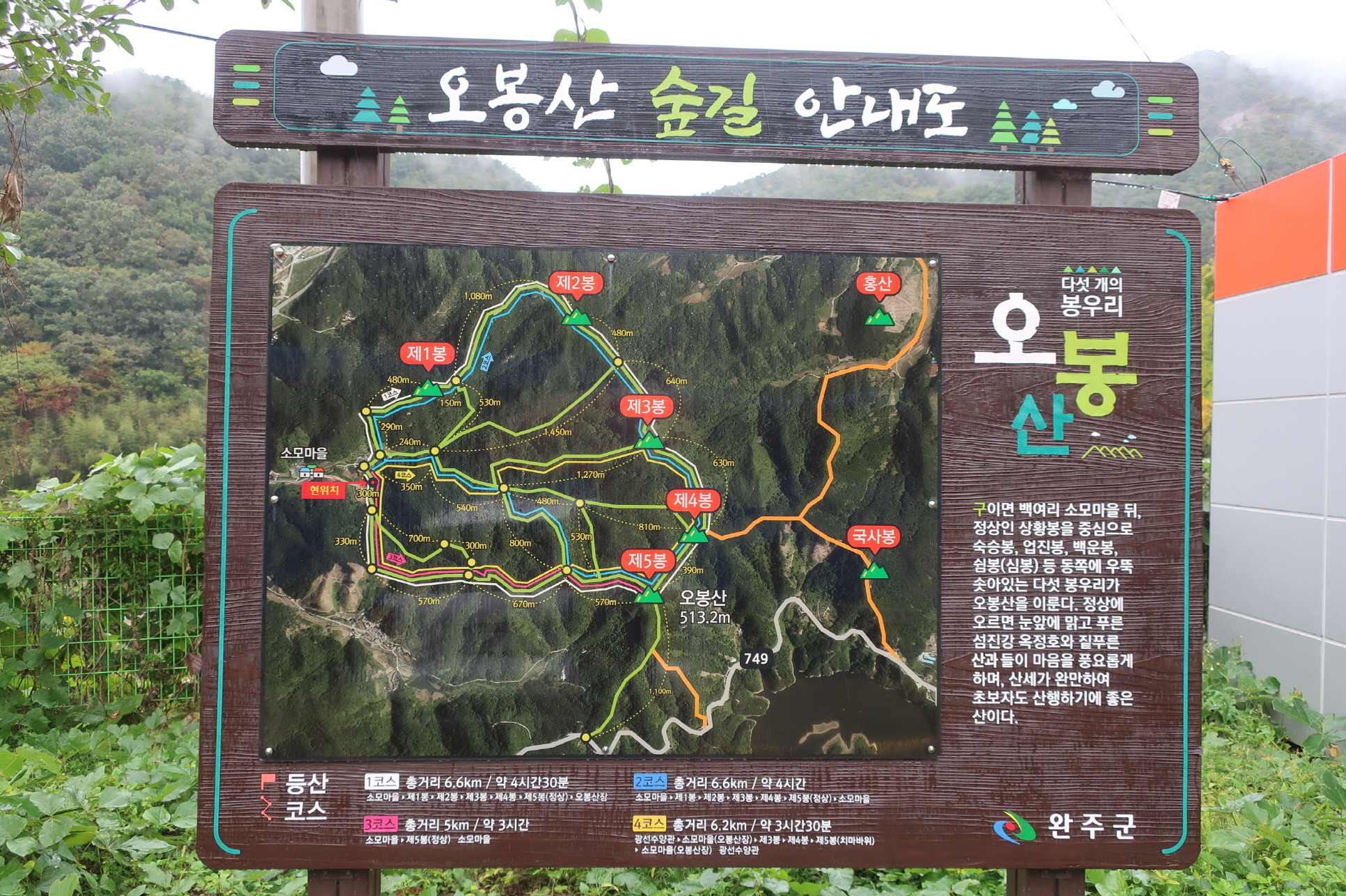 자연사랑김밥 이미지
