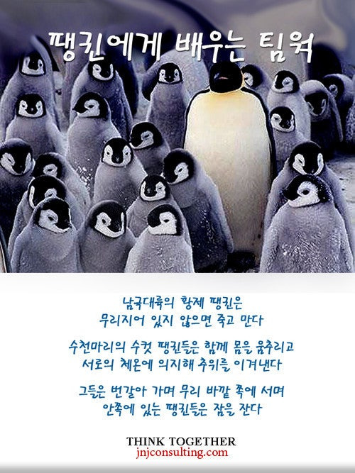 팀웍 이미지