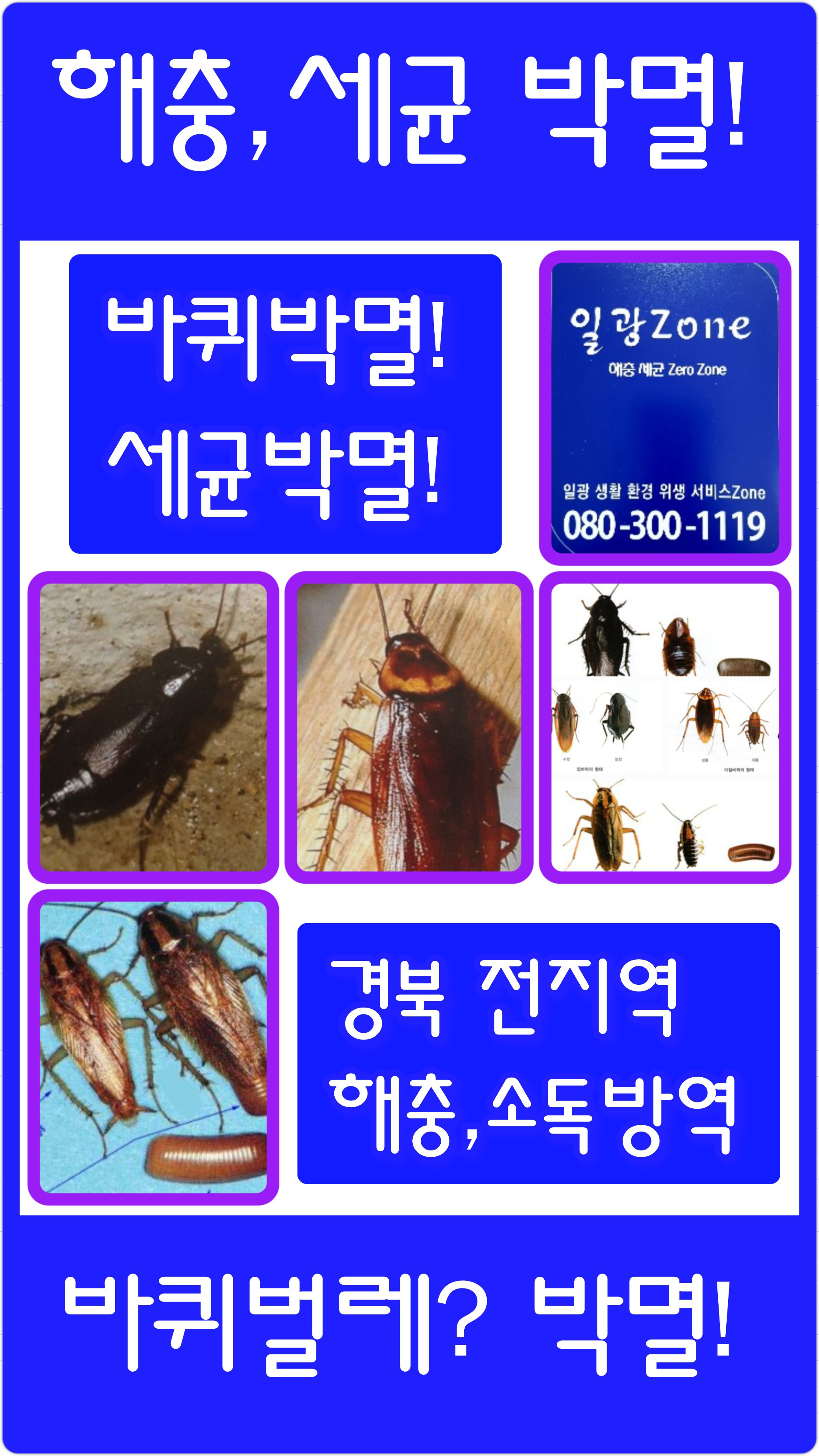 일광ZONE 이미지