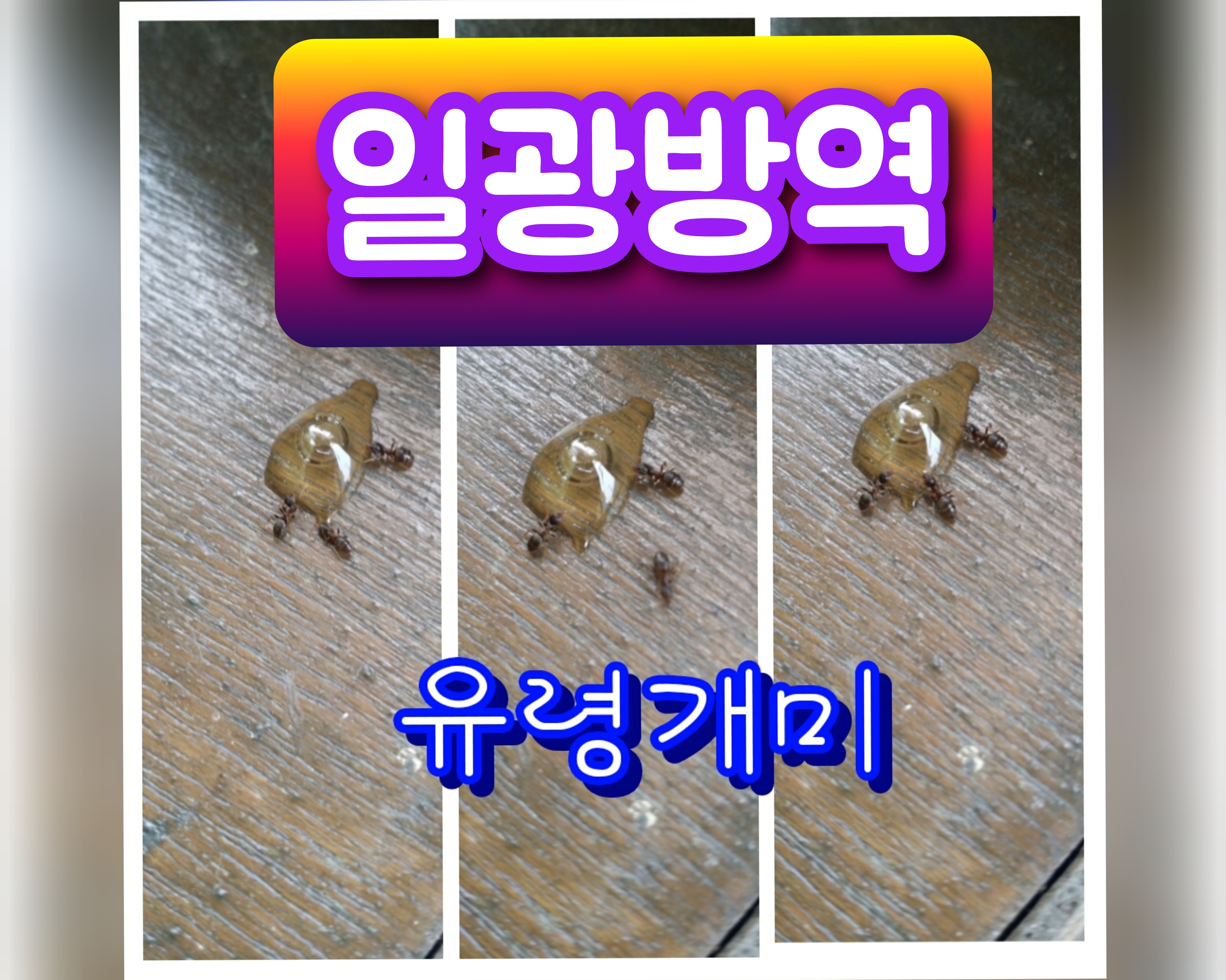일광ZONE 이미지