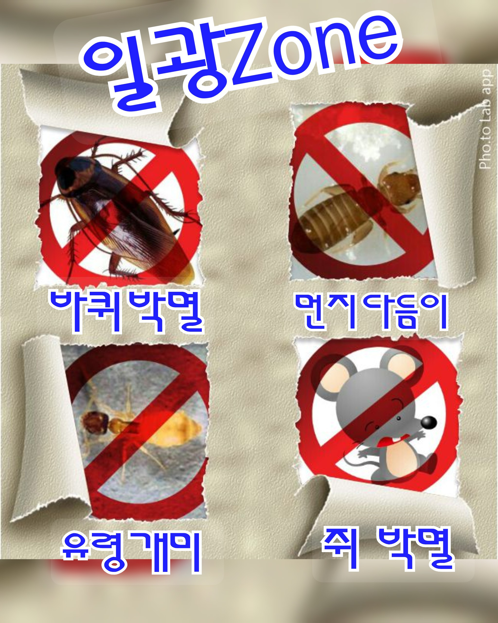 일광ZONE 이미지