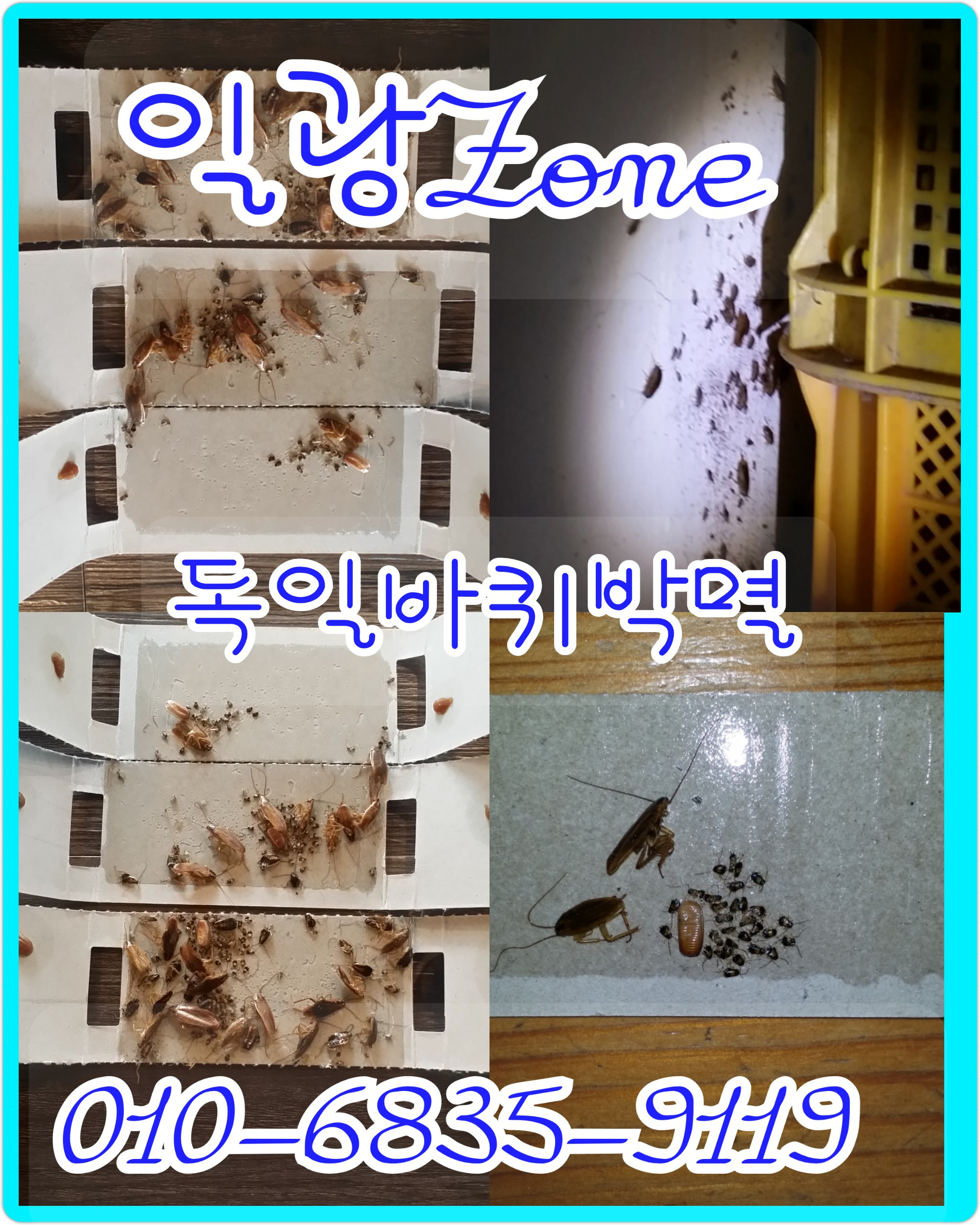 일광ZONE 이미지