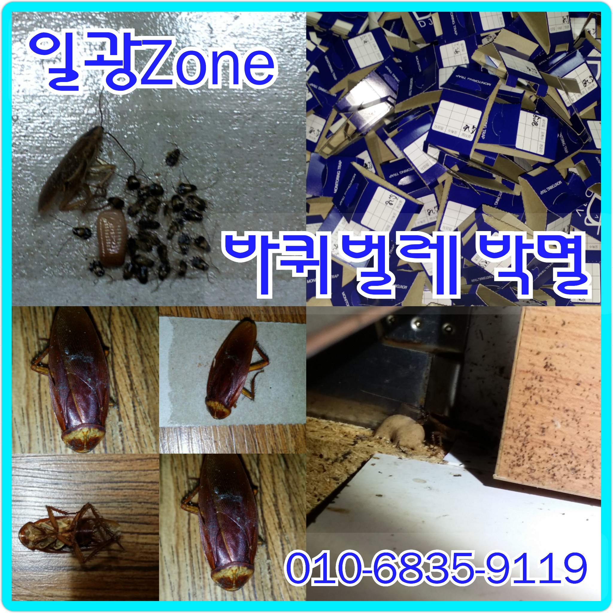 일광ZONE 이미지