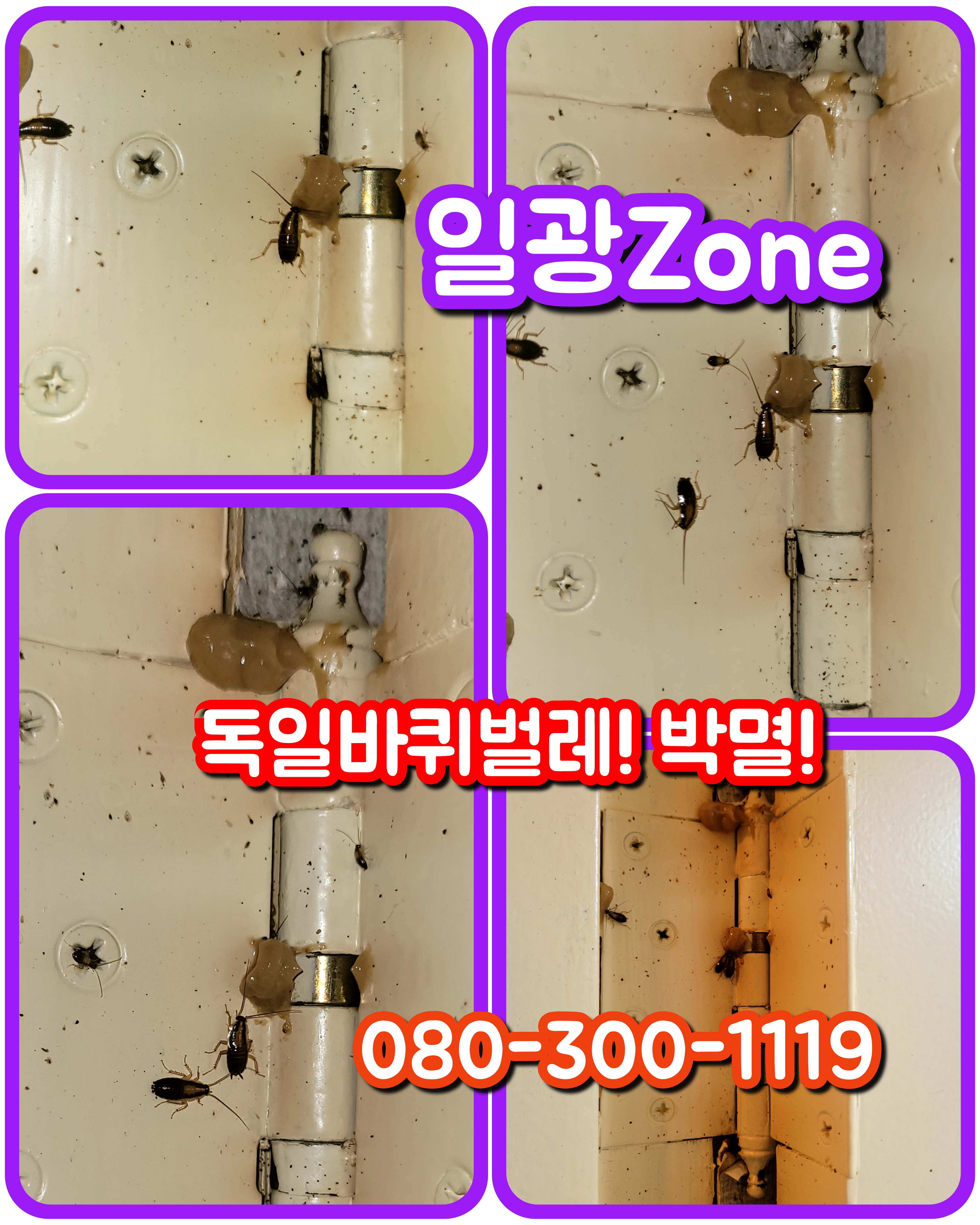 일광ZONE 이미지