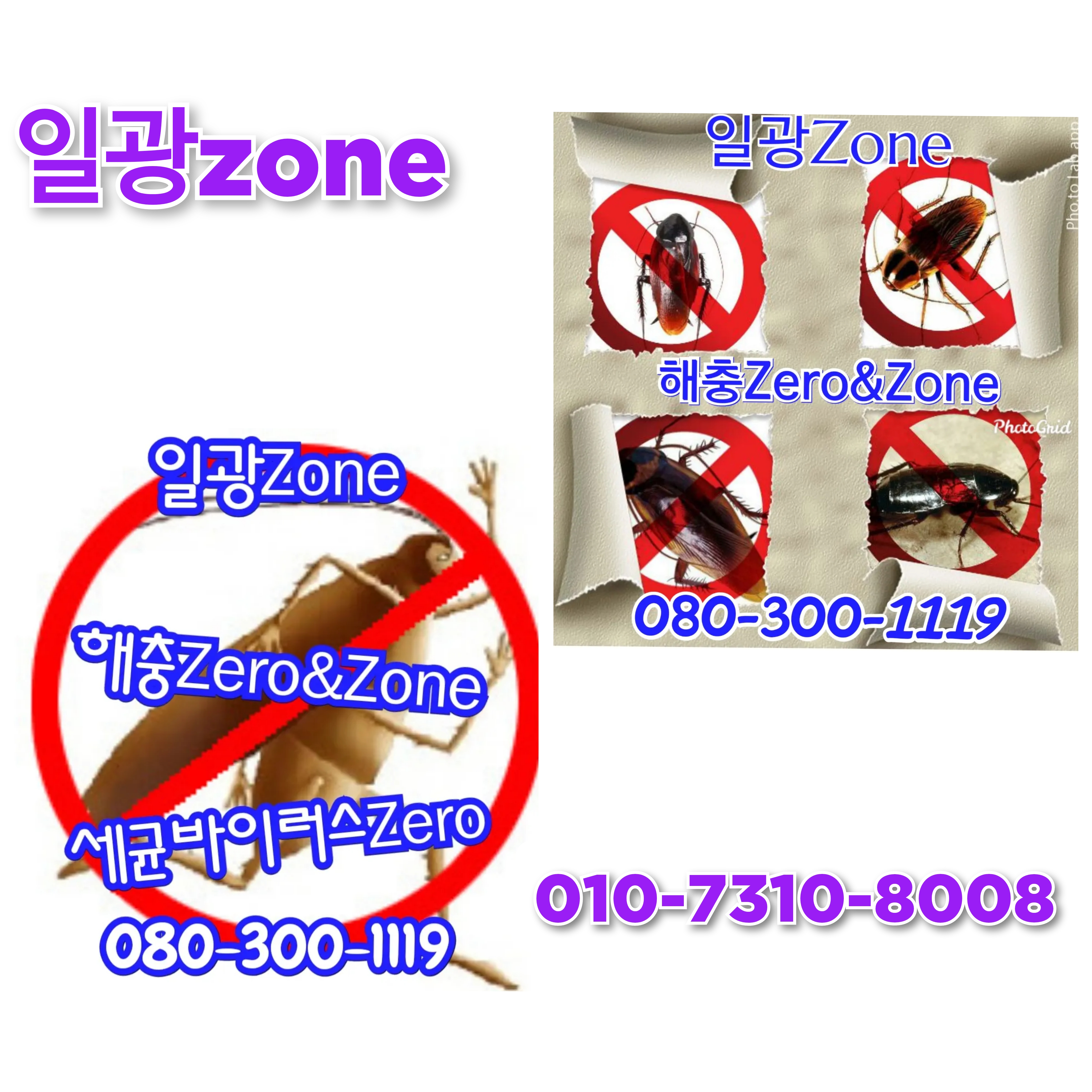 일광ZONE 이미지