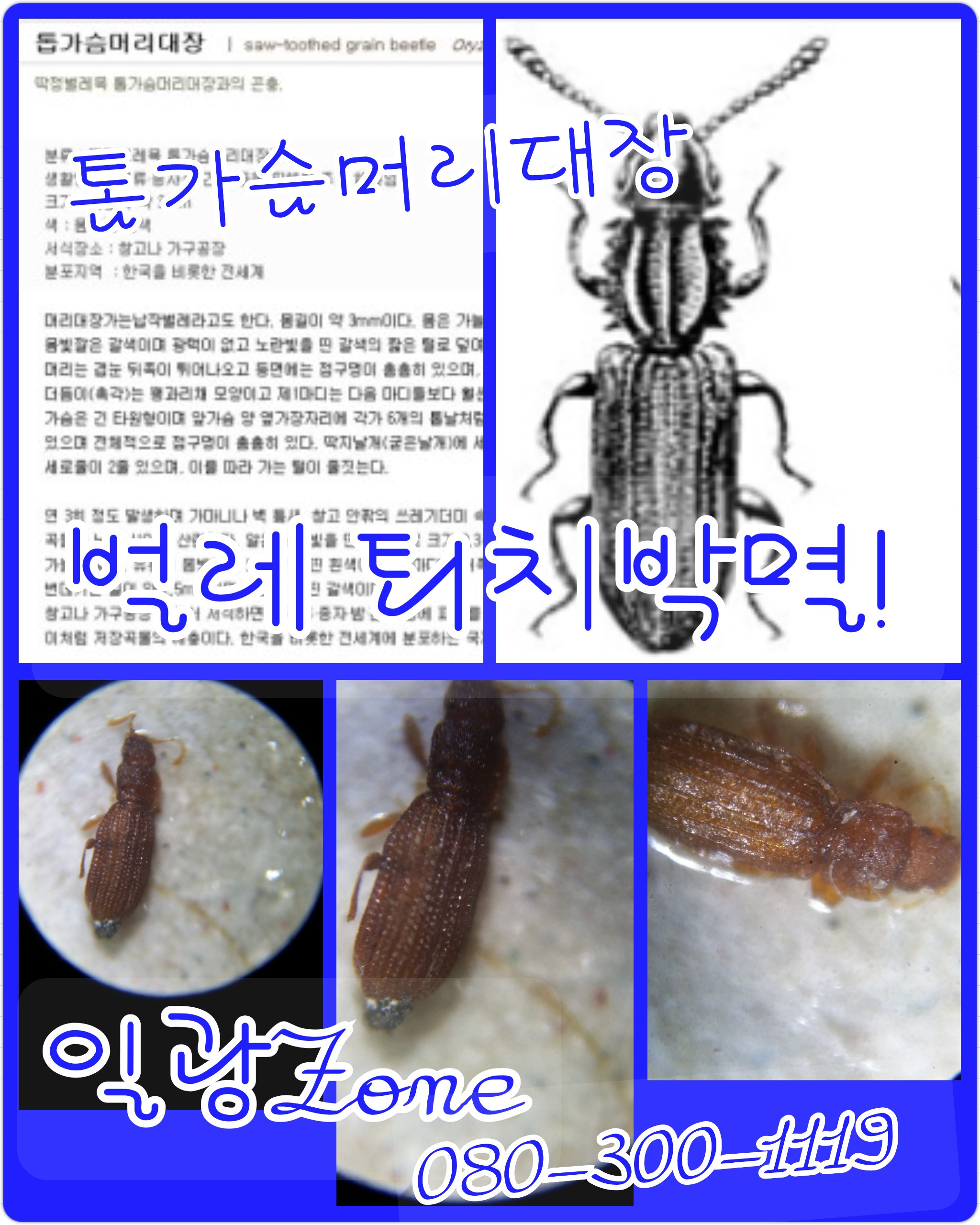 일광ZONE 이미지