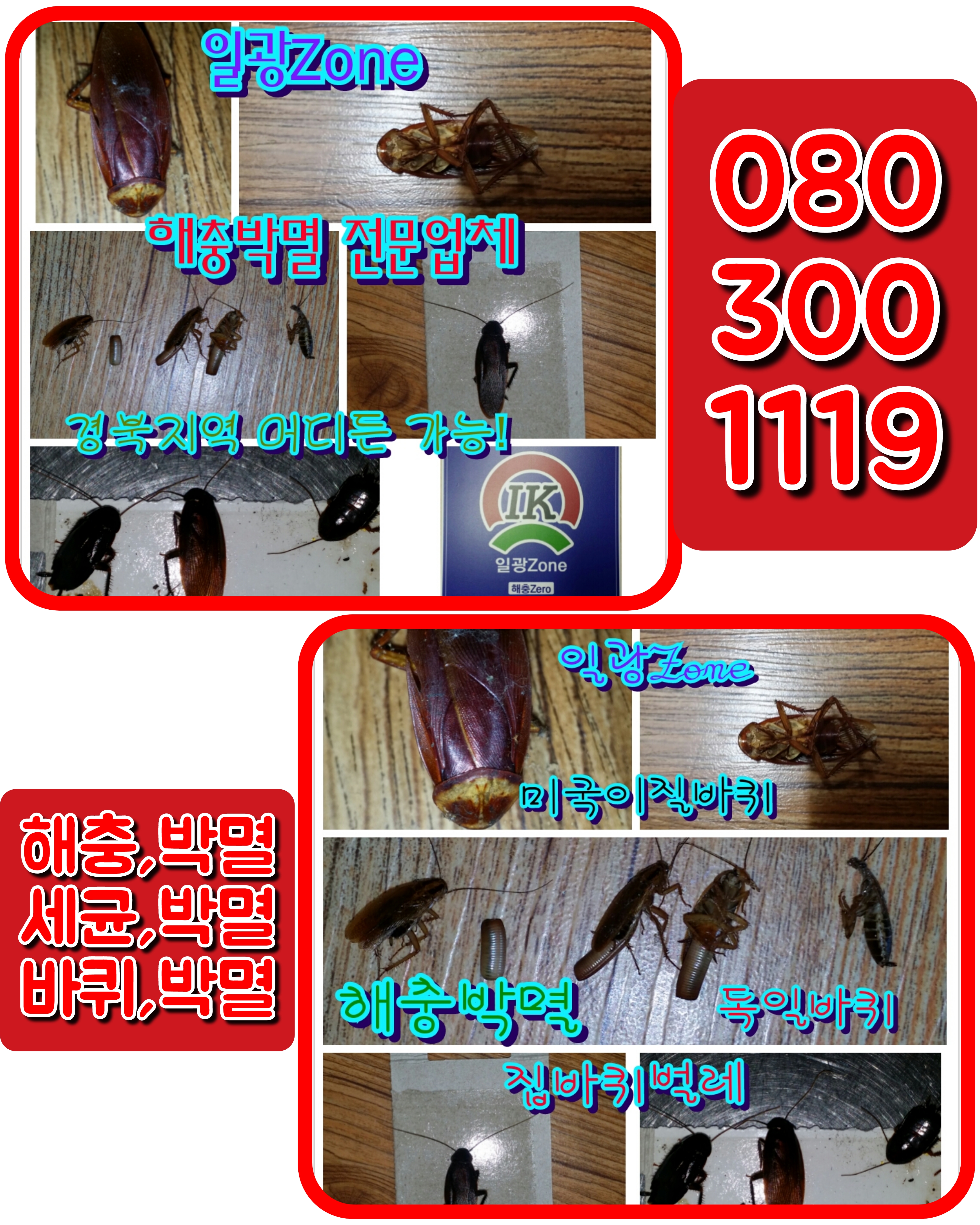 일광ZONE 이미지
