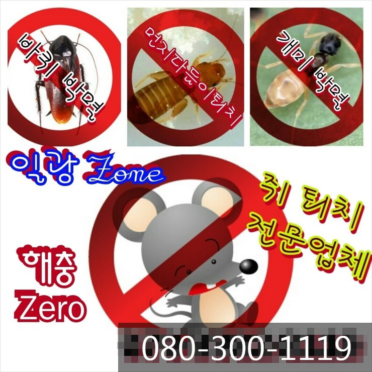 일광ZONE 이미지