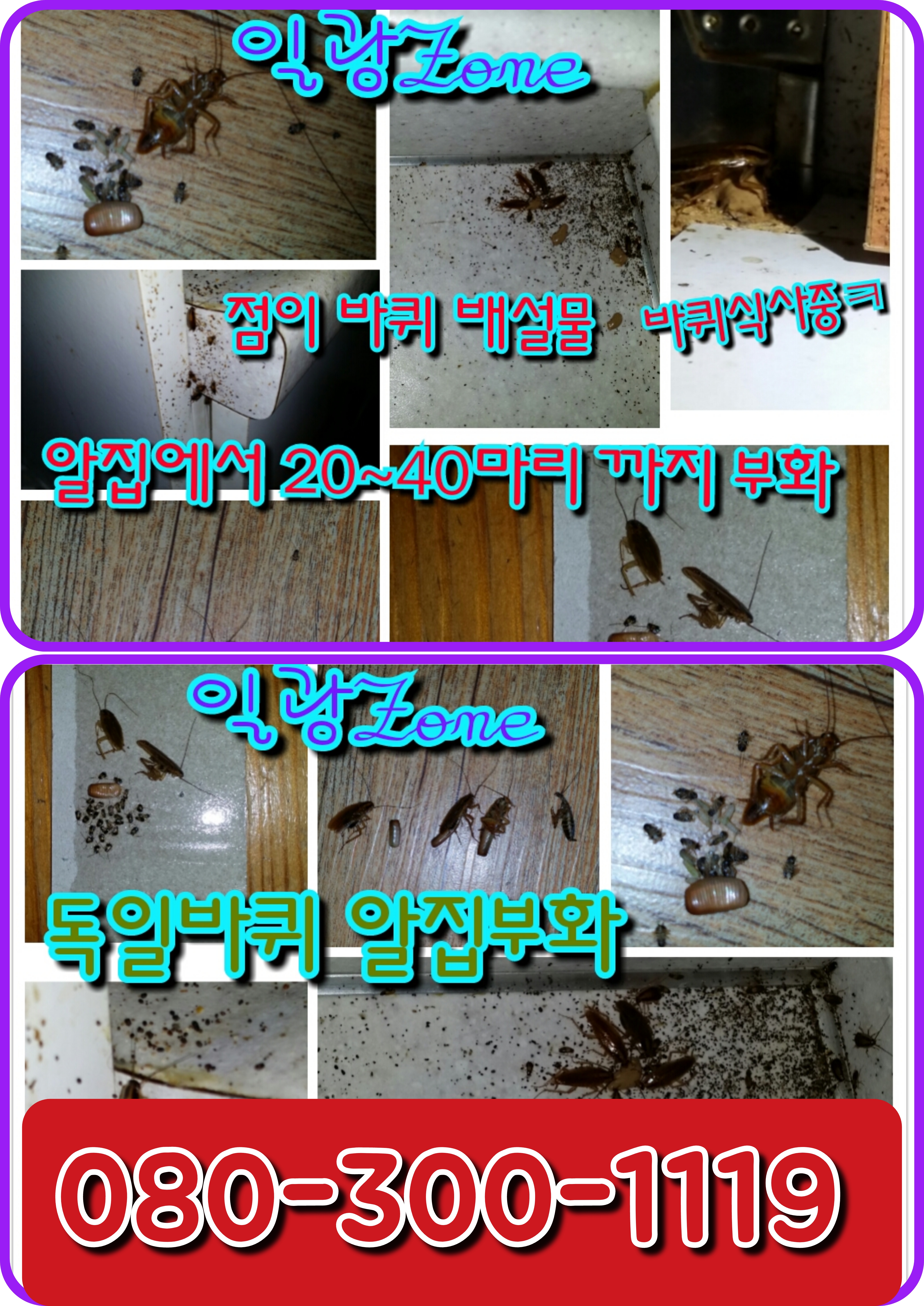 일광ZONE 이미지