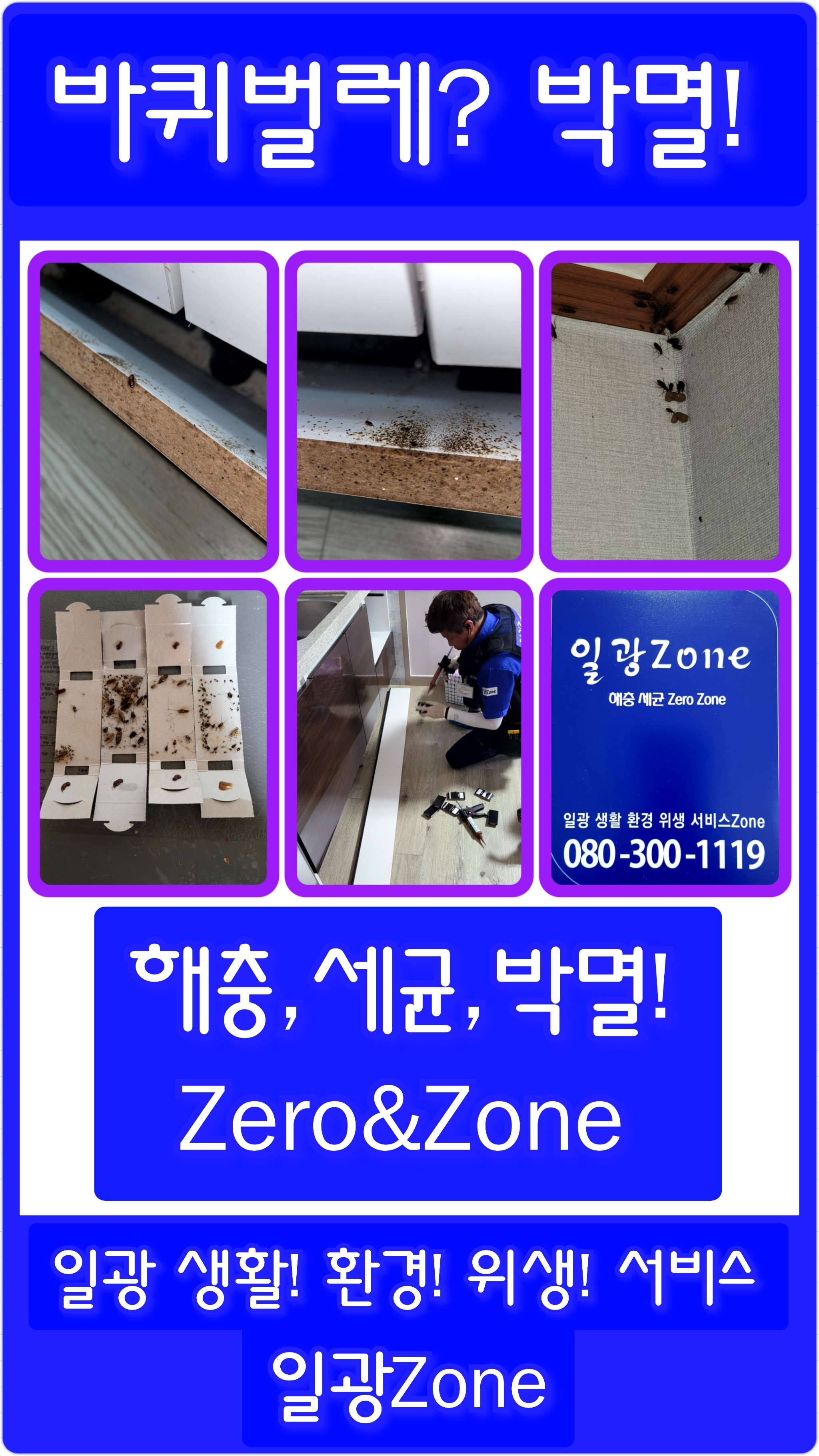 일광ZONE 이미지