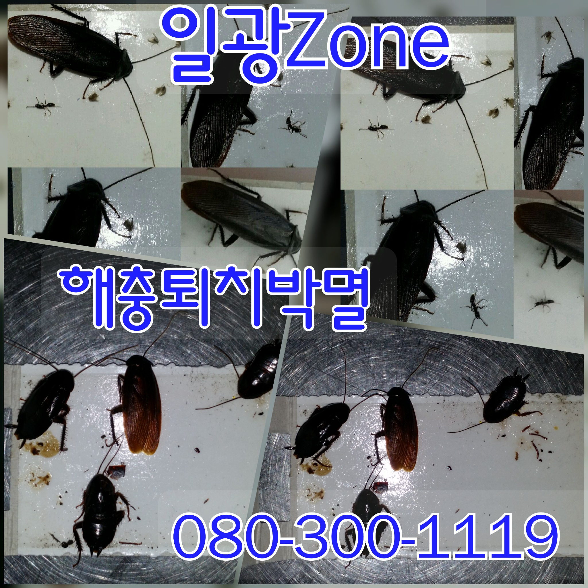 일광ZONE 이미지