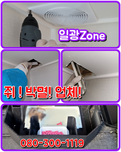 일광ZONE 이미지