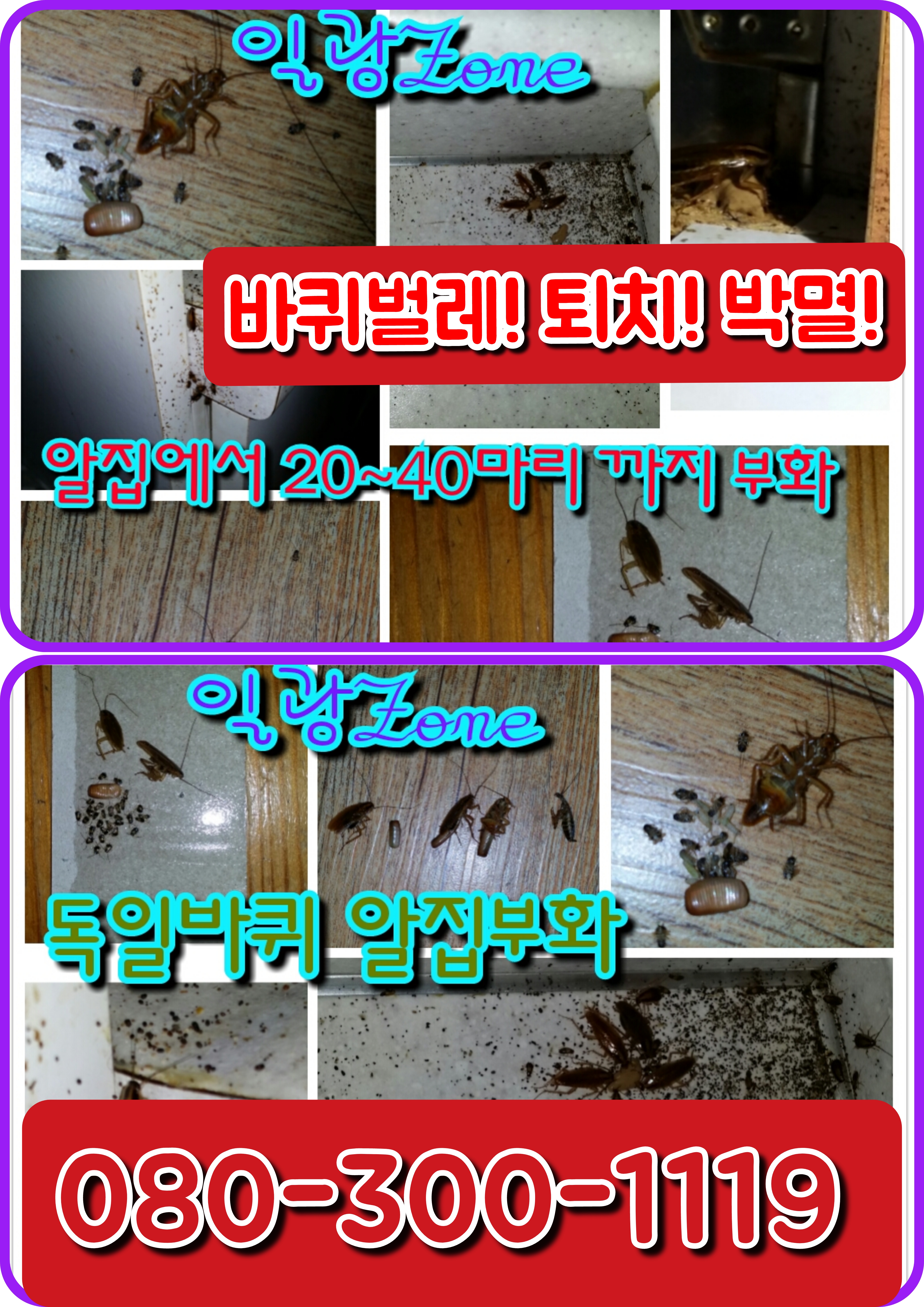 일광ZONE 이미지