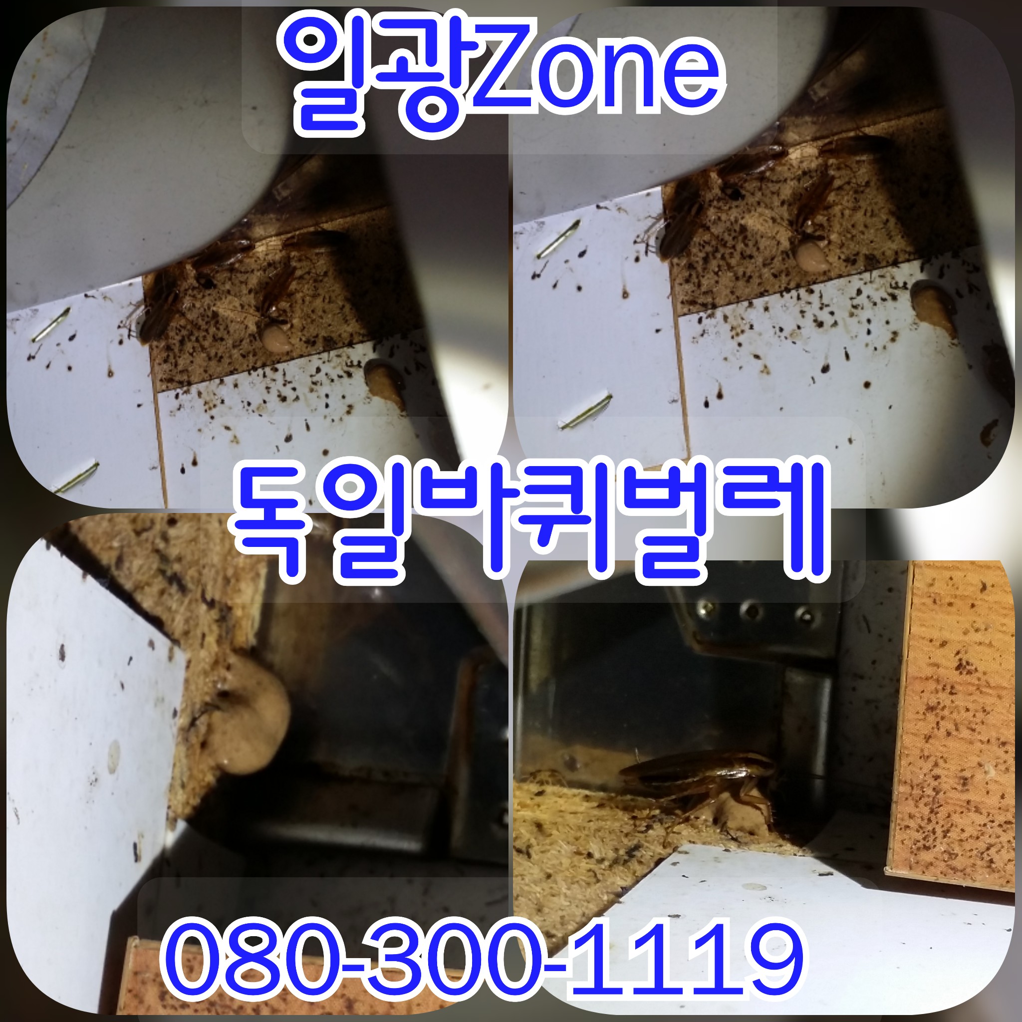 일광ZONE 이미지