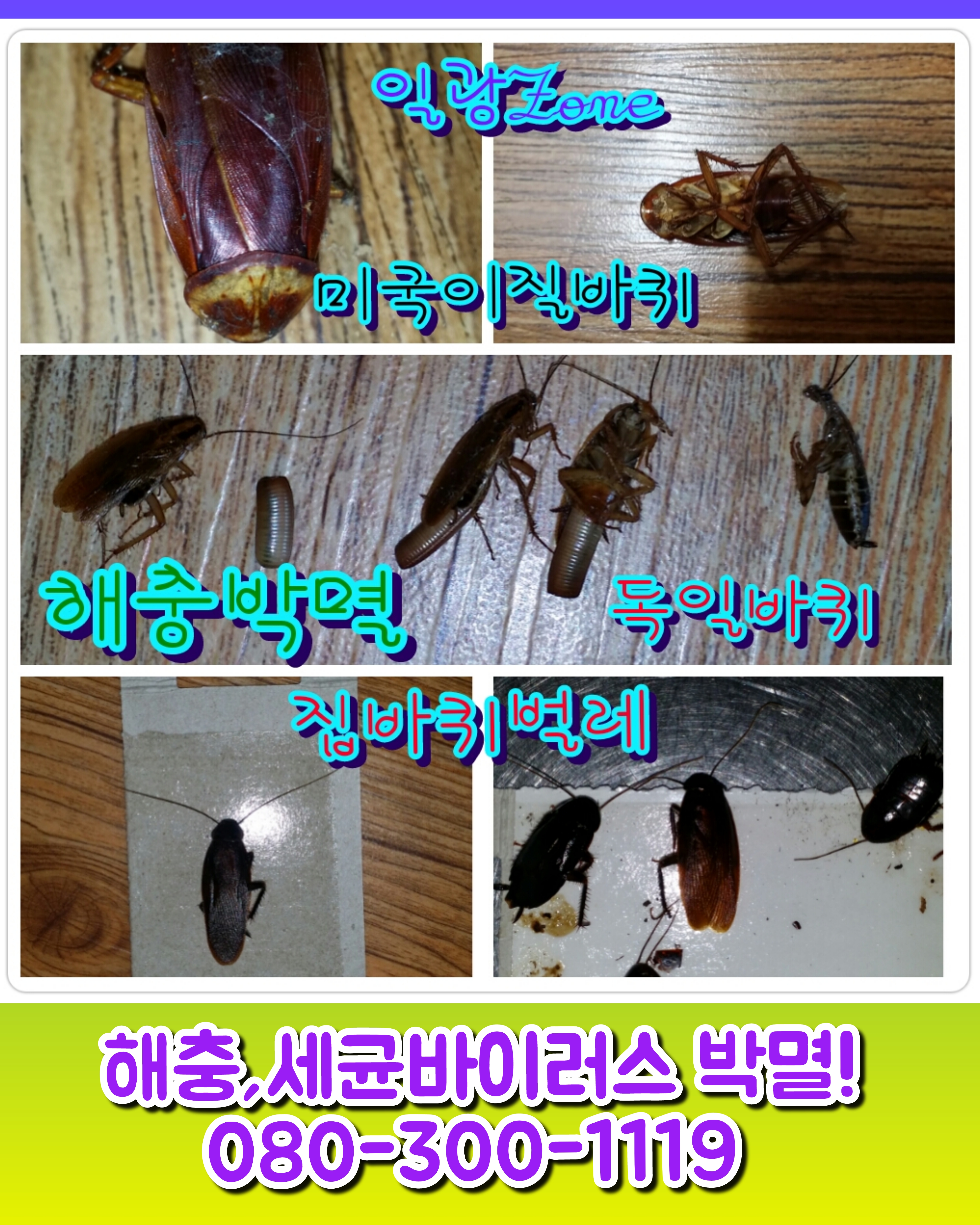 일광ZONE 이미지