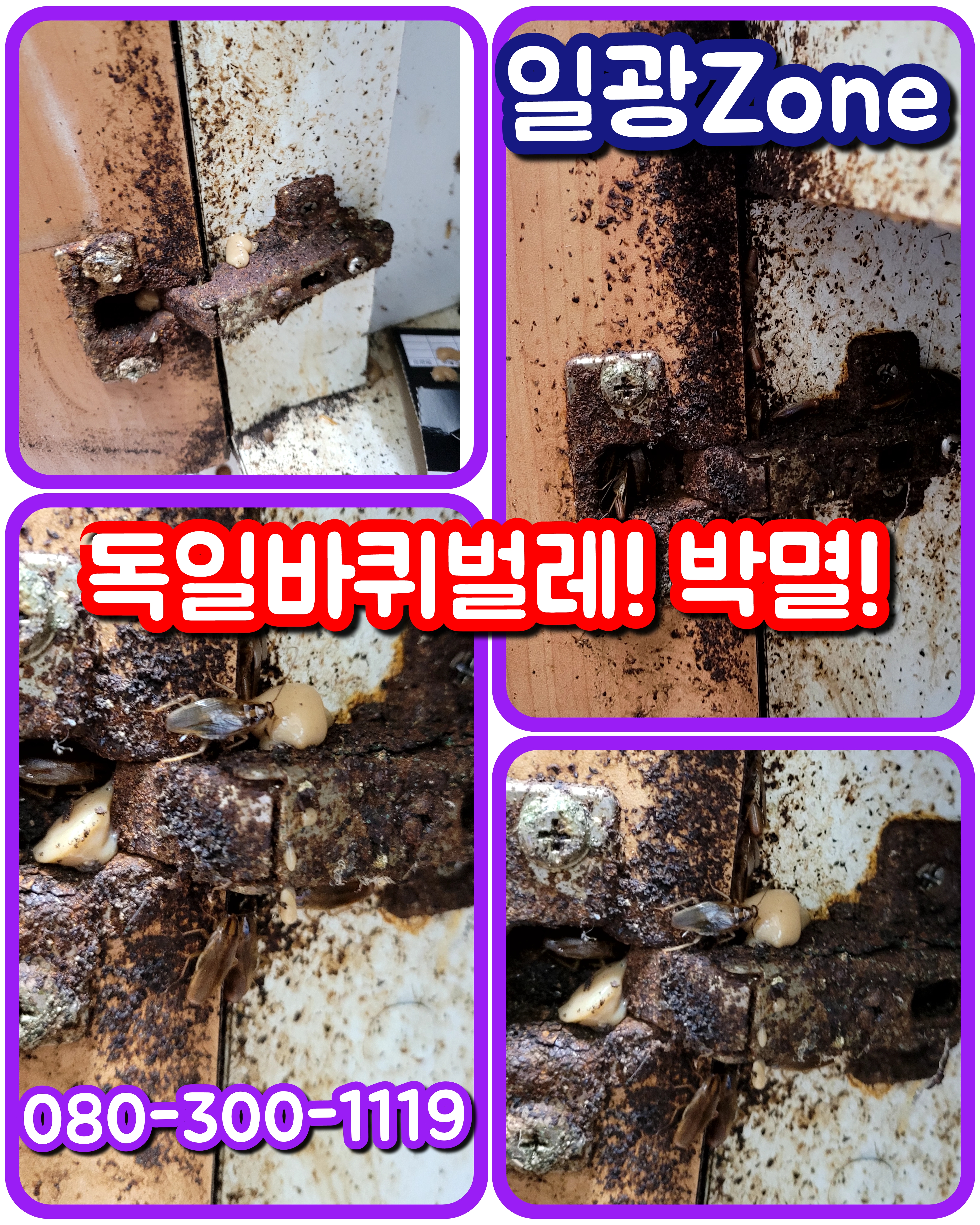 일광ZONE 이미지
