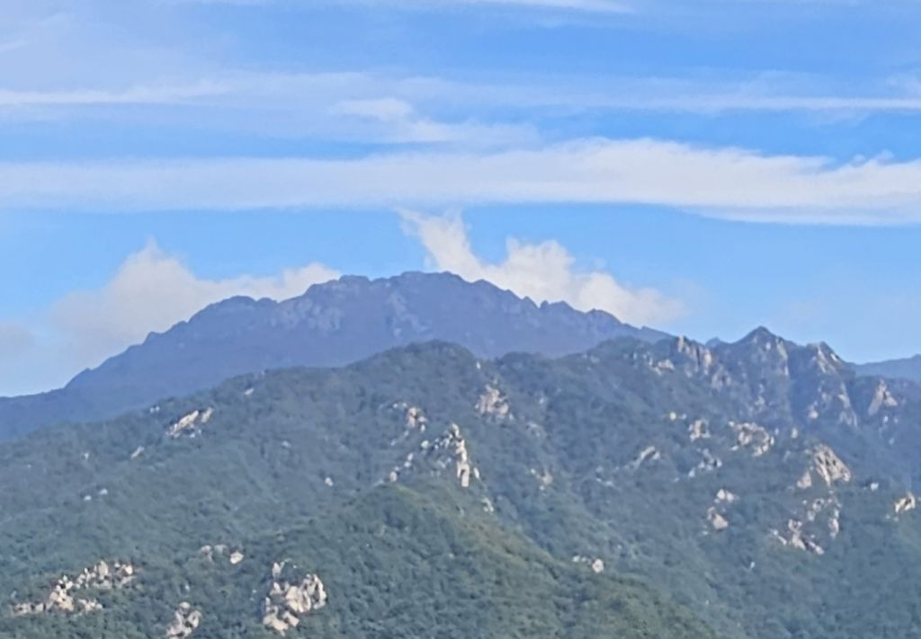 남산 이미지