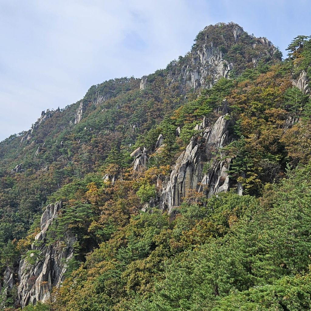 남산 이미지
