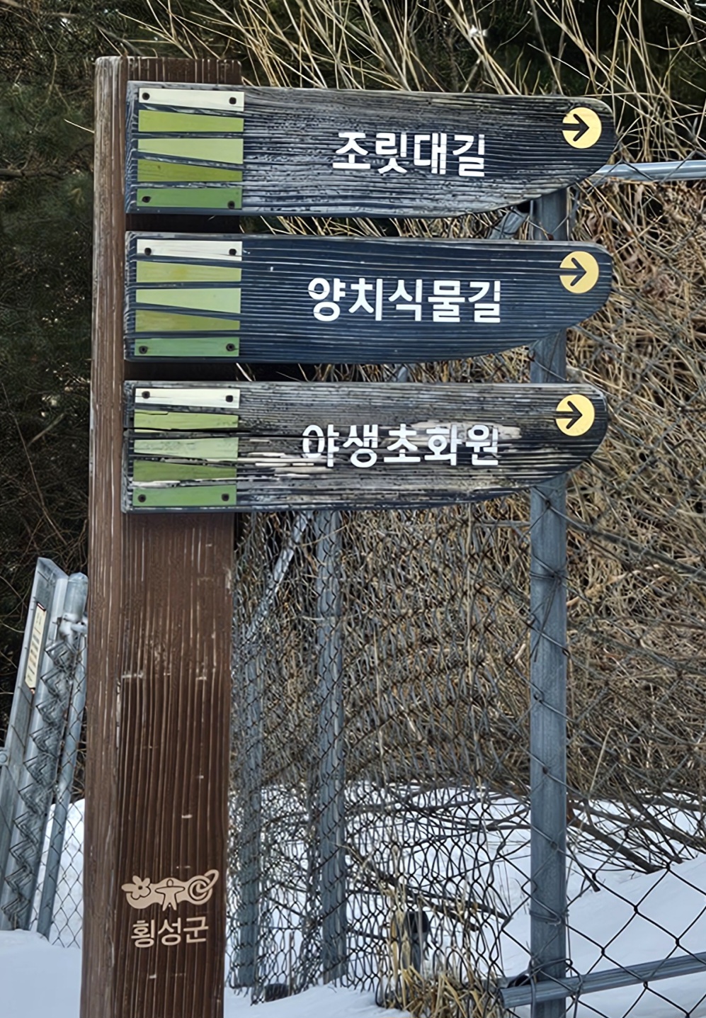 태기산 이미지