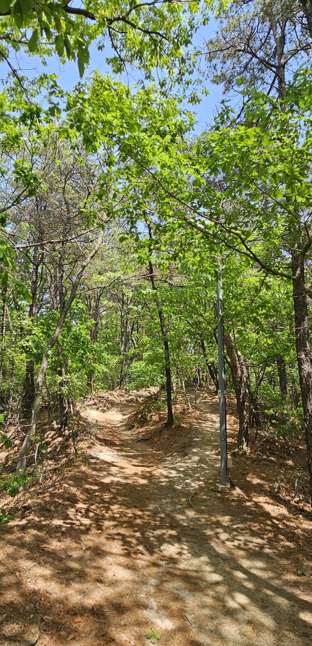 보문산 이미지
