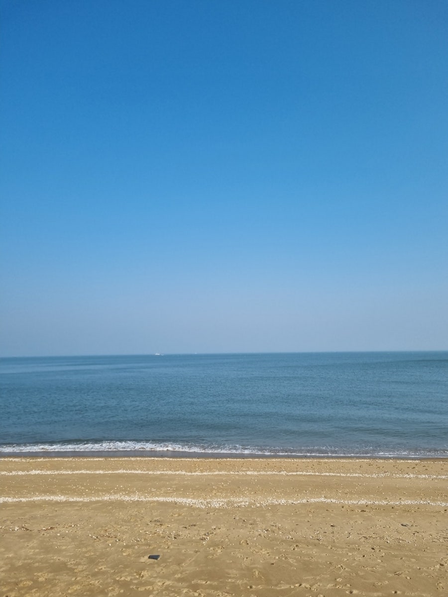 관광다방 이미지
