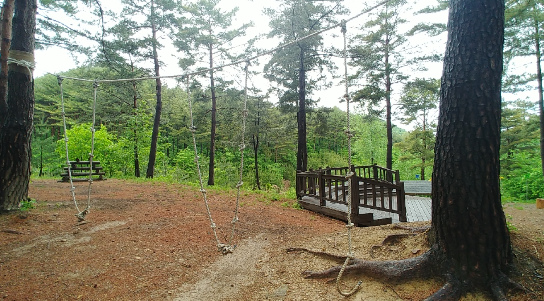 삼척동자 유아숲체험원 이미지