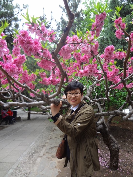 도*환 이미지