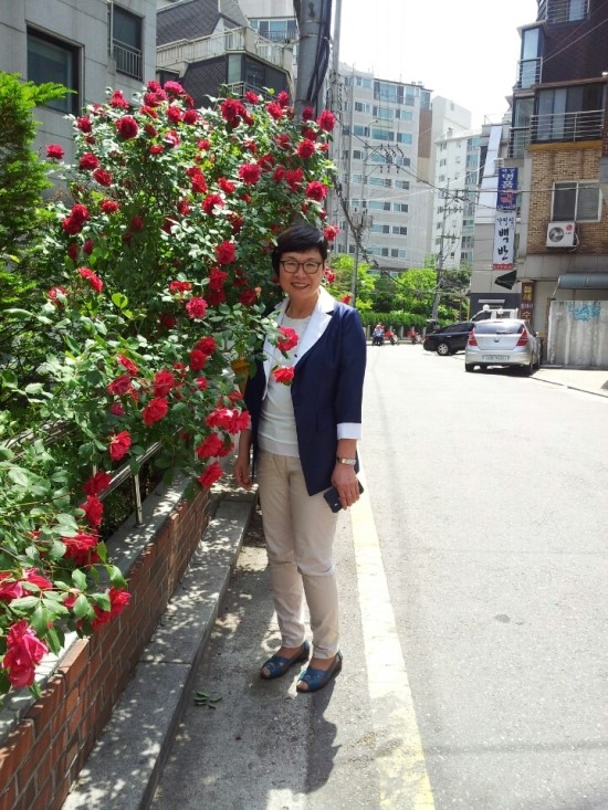 도*환 이미지