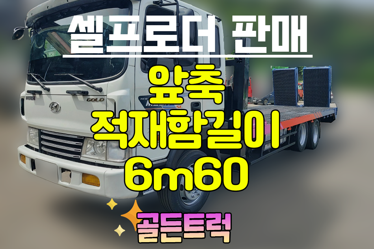 현대셀프 이미지