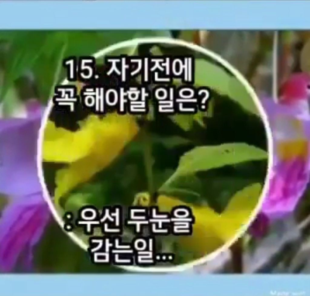 수수께끼 이미지