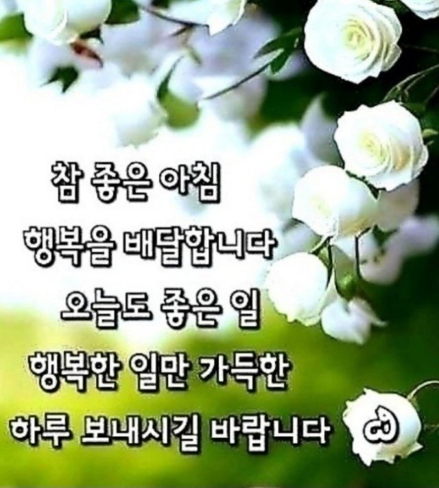 진화 이미지