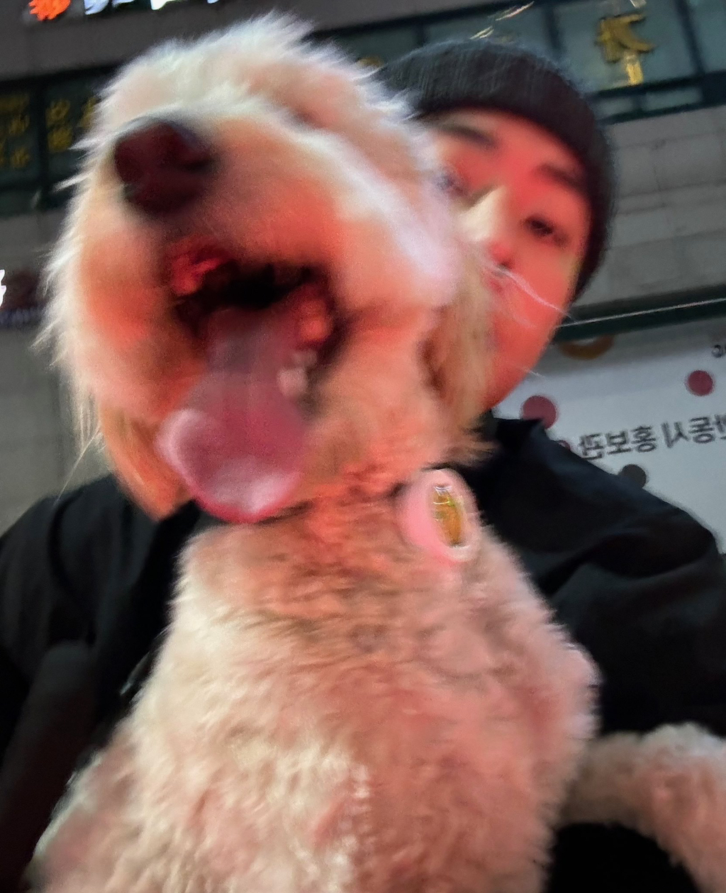 브로 이미지