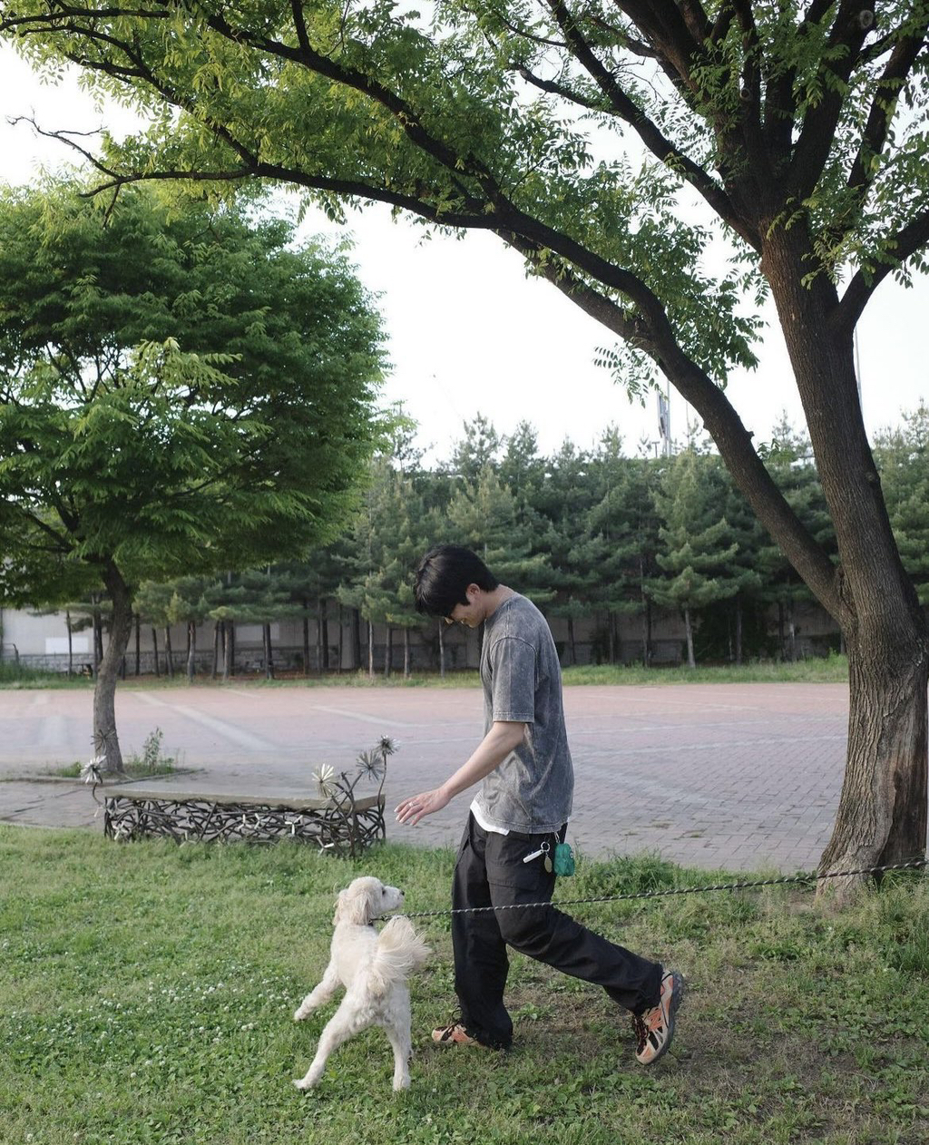 브로 이미지