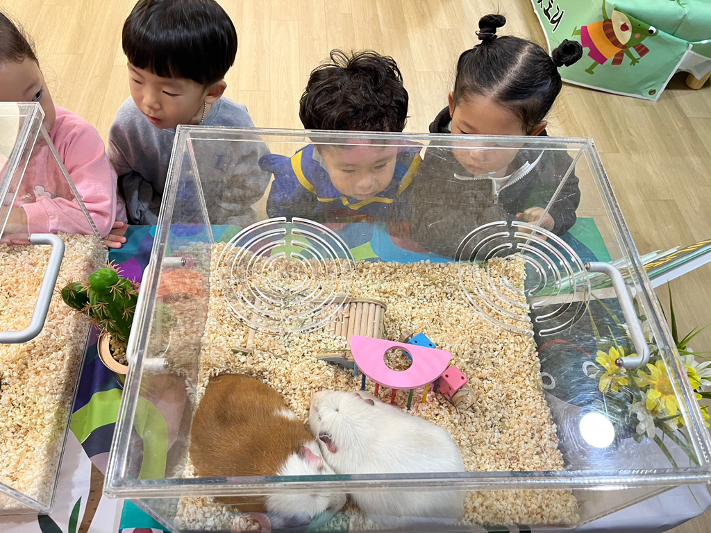 공감펫토리 이미지
