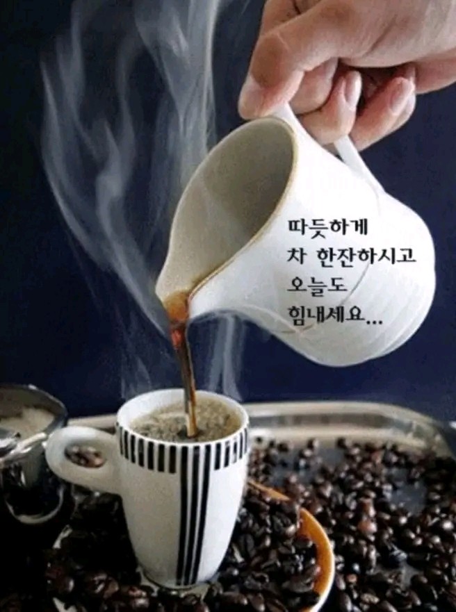 여우야 이미지