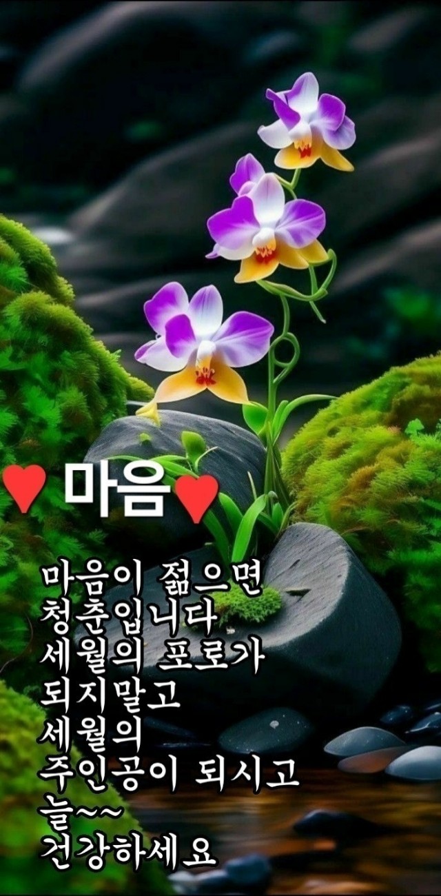 한잔할래 이미지