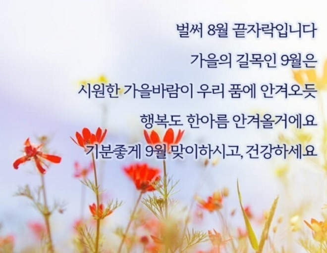 만보 이미지
