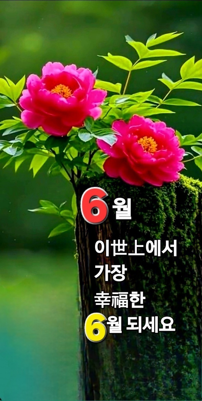 만보 이미지