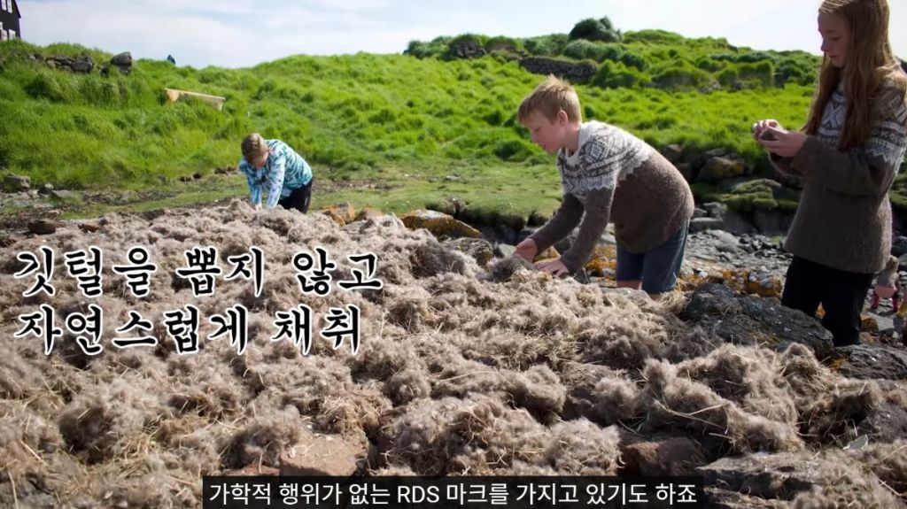 두바이호텔 이미지