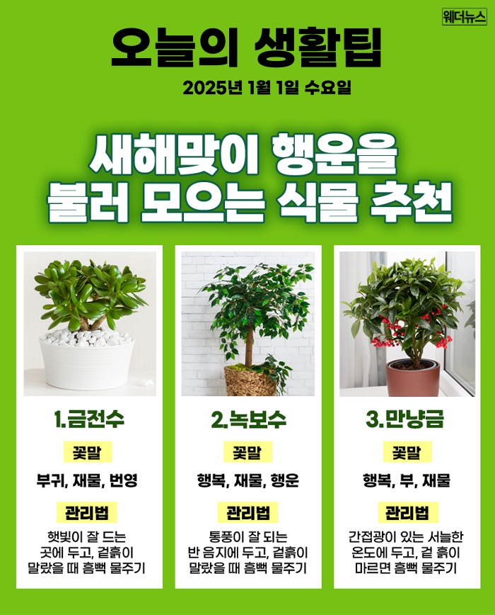 행운 이미지