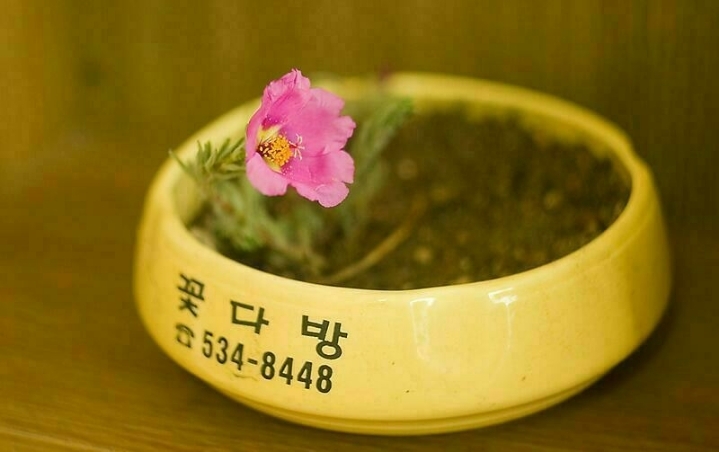 그다방 이미지