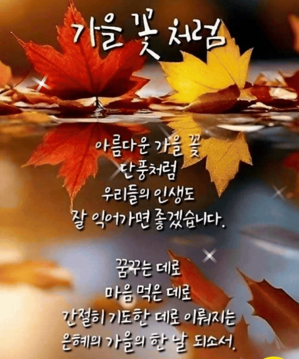 키라 이미지